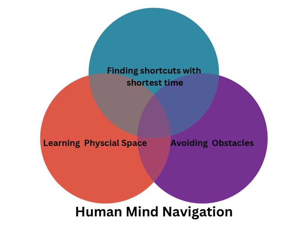 navigation in human mind